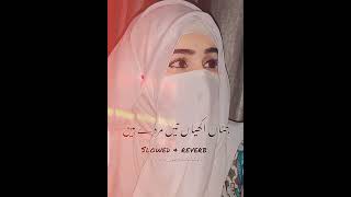 Tede Dil Vich Kehria Tede Mn Vich Kehria Ahmad Nawaz Cheena Saraiki Song Slowed And Reverb