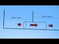 Gerald Pollack: The Role of Water in the Electric Body | Electric Universe Conference 2012
