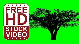Free Stock Videos Animated Cherry Tree Silhouette On Green Screen With Random Wind Effect