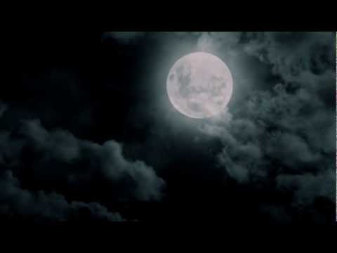 Schulich Medicine Admissions Video 2013 - Trailer