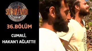 Cumali, Hakan'ı ağlattı! 'İnşallah Cumali şampiyon olur'  | 36.Bölüm | Survivor 