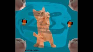 Go Kitty Go Phonk 1 Hour