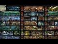 fallout shelter на пк food fallout shelter на пк food