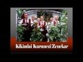 Kikindai Kurunczi Zenekar