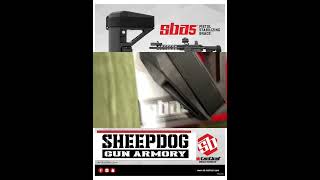 The New Sb Tactical Sba5 Ar Pistol Brace