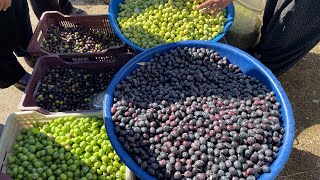 Eşi̇mi̇n Sosyal Medyadan Taki̇p Eti̇ği̇ Adananin Tufan Beyli̇ Pazarina Geldi̇k Bakalım Neler Alacağız?