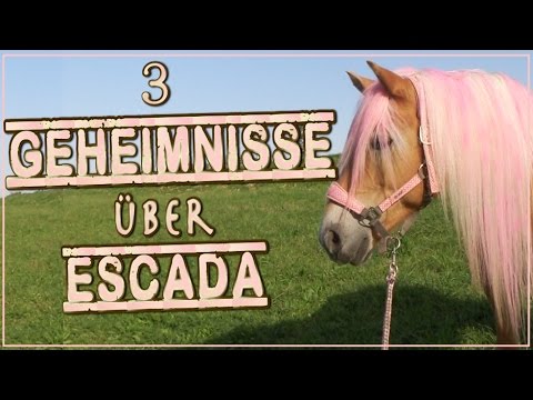 3 GEHEIMNISSE über Escada ✮ + mega Überraschung!!! ♥ Ich verrate woran ich seit Monaten arbeite!