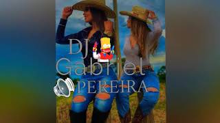 Catuca Que Vai Dj Gabriel Pereira