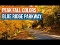 Peak Fall Colors on the Blue Ridge Parkway in NC
