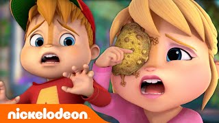 Can Alvin Rescue The Chipmunks From A TOAD Attack?! | ALVINNN!!! | Nickelodeon C