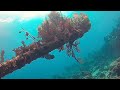 scuba diving