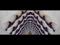 Most Beautiful Music Ever Everdream by Epic Soul Factory Vubey