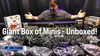 A Beginners Guide to Dungeons & Dragons - Minis Unboxing