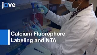 Calcium Fluorophore Labeling And Nta For Urinary Nanocrystals Protocol Preview