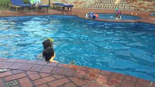 Desafio Na Piscina... Irmãos Gêmeos Com A Participação Da Nossa Prima
