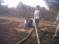 forest-fires : watering the affected plants