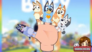 Bluey Finger Family Bluey Finger Family Song Daddy Finger Bandit Heeler Chilli Heeler