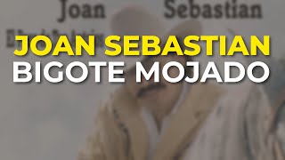 Watch Joan Sebastian Bigote Mojado video
