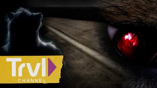 Real Sightings Of The Beast Of Bray Road In Search Of Monsters Travel Channel