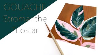 Comment Peindre Un Stromanthe Triostar À La Gouache