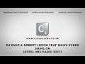 DJ Eako & Robert Livesu Feat. Maiya Sykes - Shine 