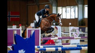 12Yo Show Jumping Mare, 165 Cm, By Lordano G