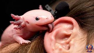 This Asmr Video Is So Underrated