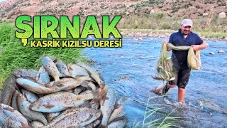Serpme İle Balik Avi Şırnakın Kasrik Boğazından Akan Kızılsu Deresinde Serpmeyle Balık Avladık