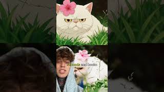 Ghibli Ai Anime Photos & Videos With Irmo Ai This Ai Avatar Turns To Ghibli Character