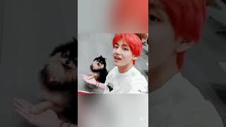 Tannie And Tae Euphoria Take My Hands Now