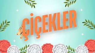 Çiçekler Çiçekler Şarkısı Eğlenceli Çocuk Şarkısı Çocuk Şarkısı Hareketli
