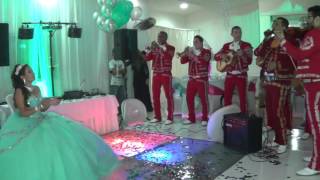 15 Primaveras