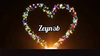 Zeyneb Adina Aid Video