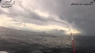 JIGNPOP & Black Hole USA: Dynamic Tuna Action with Black Hole MAGIC EYE Rod, Panama 2012