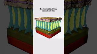 Heres How To Reduce The Appearance Of