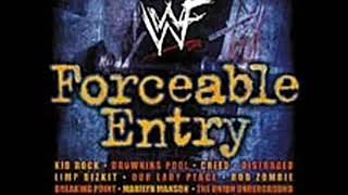 Wwf Forceable Entry Track 14