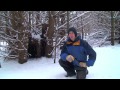 Finding Dry Wood in Winter - Life in the Northwoods (Ep. 15) 1080p