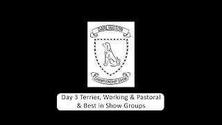 Darlington Championship Dog Show Day 3 Working, Pastoral & Terrier Groups & Best In Show