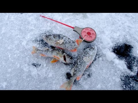 мормышка нет клева на рыбалке мормышка нет клева на рыбалке
