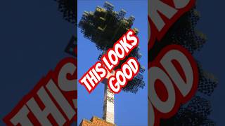 In Defense Of Birch Trees... Camman18