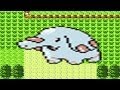 How to find Phanpy in Pokemon Crystal