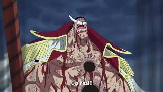 Whitebeard Final Words,One Piece Is Real Sub Vs Dub, One Pieceワンピース