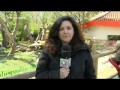 Zoo de Madrid dice adiós a las sus crías de Panda Gigante