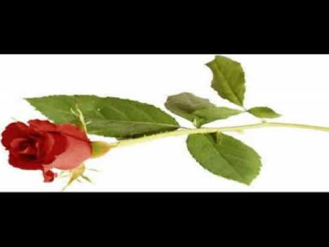 Pyar ek phool hai - Nursat fateh ali khan
