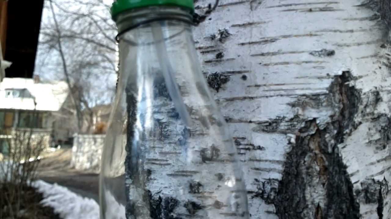 Débit récupération sève de bouleau.débit d'écoulement Débit récupération sève de bouleau.débit d'écoulement