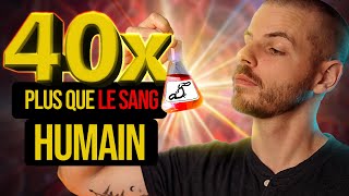 Arénicole Lhémoglobine De Ce Ver Révolutionne La Médecine Humaine