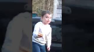 Not The Hot Dog