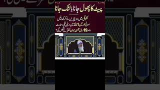 Do This While Cooking Islamic Motivation Quotes Deep Quotes Hikmat Ki Baateinpeer Zulfiqarshort