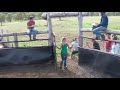 Me and my team catching a goat