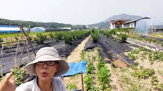 남편만보면 속이 뒤집어져요 선묘스님